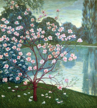 Magnolia by Wilhelm List